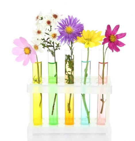 Oui, je pourrais. Mais…