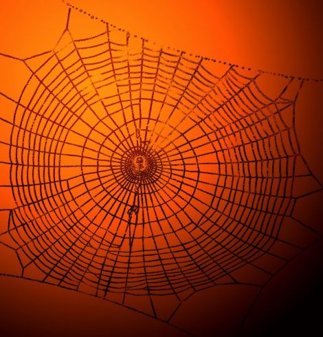 Soyons là où on ne nous attend pas