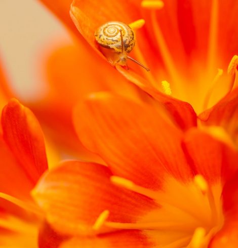 Référencement, SEO et autres techniques marketing