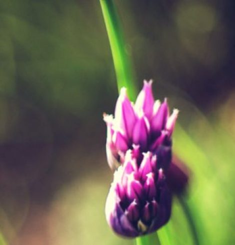 Être pro ou être soi-même : le dilemme du tailleur à paillettes