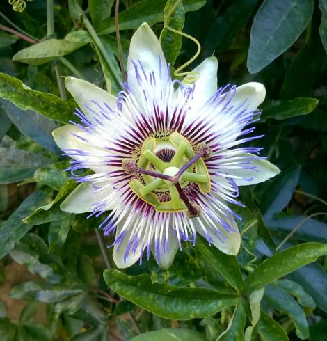 L’expérience “je pars loin des réseaux sociaux” #4