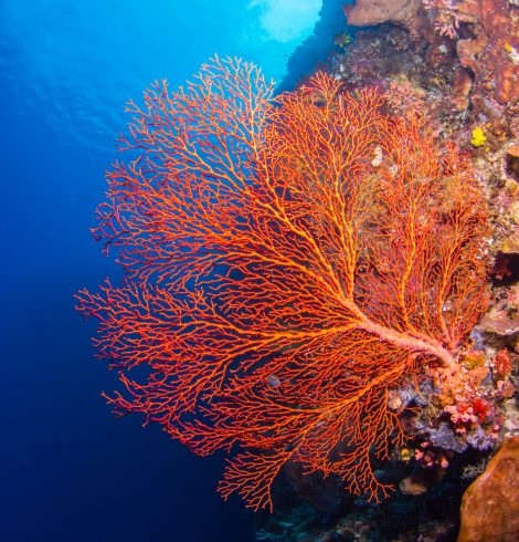 J’ai quitté Facebook pendant 21 jours – L’expérience #7