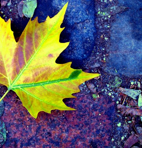 Seul l’imprévisible sera exceptionnel
