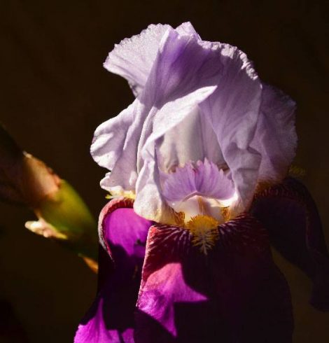 Il est fou, ce blogueur : interview d’Yves Bonis