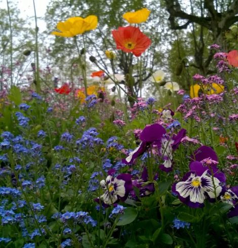 Les vraies valeurs d’une entreprise ne sont pas forcément celles que l’on pense