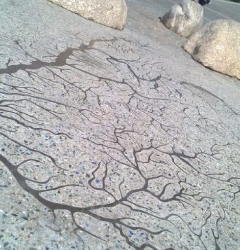 Carnets de texte, histoire d’un journal *1