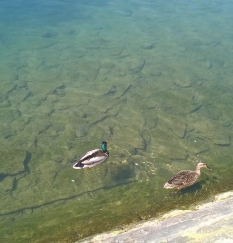 Tombée sous le charme – Epistolaire *16