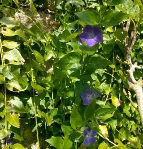 Changer de nom au bout de 2 jours –> Épistolaire *3