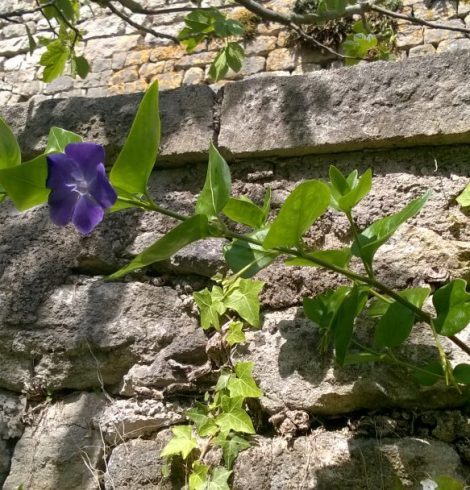 D’âme à âme – Epistolaire *25