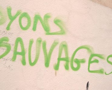 Mes vendredis sauvages – Epistolaire *7