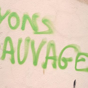 Mes vendredis sauvages – Epistolaire *7