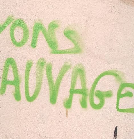 Mes vendredis sauvages – Epistolaire *7