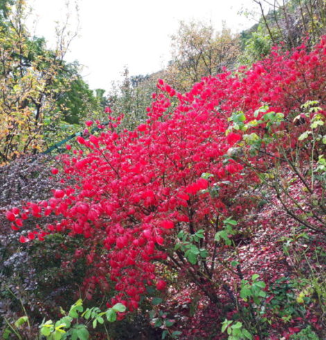 La possibilité du rien #2 – Paroxysme avant le calme